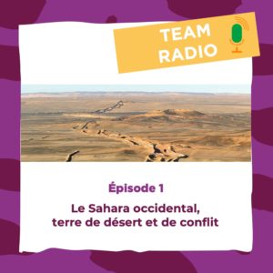 Le Sahara occidental, terre de désert et de conflit